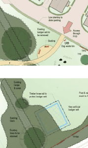 Countryside Proposal for the Badger Sett on the Horses Field